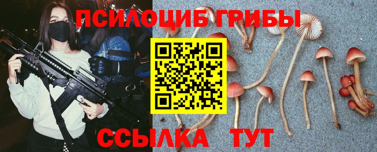 Соликамск  Псилоцибиновые грибы мицелий  Вход с VPN  Галлюциногенные грибы прущие грибы 